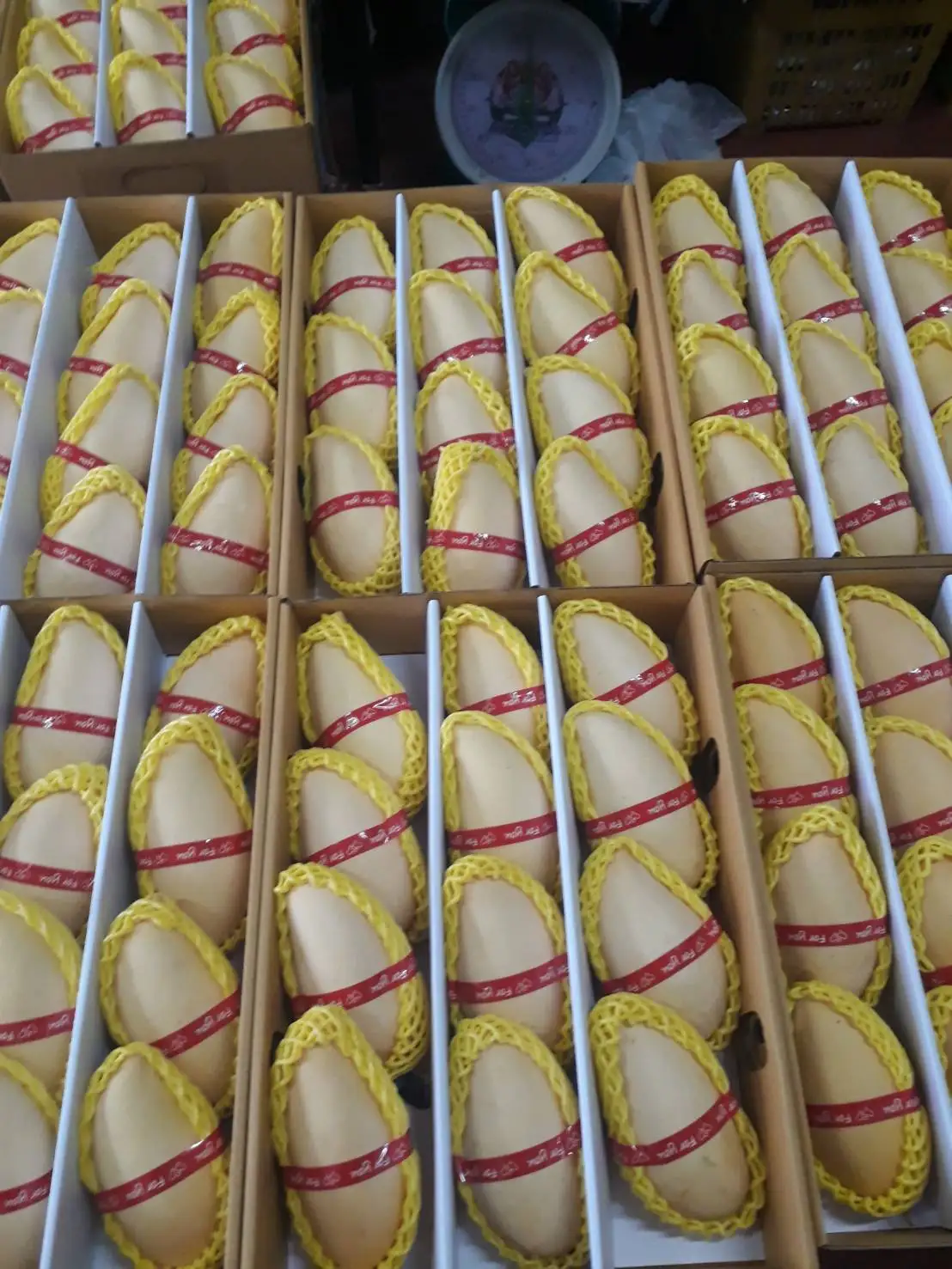 mango nam dokmai fresh Grade AA quality from thailand