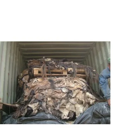 
TOP Quality Wet Salted Cow Head Hides.... 