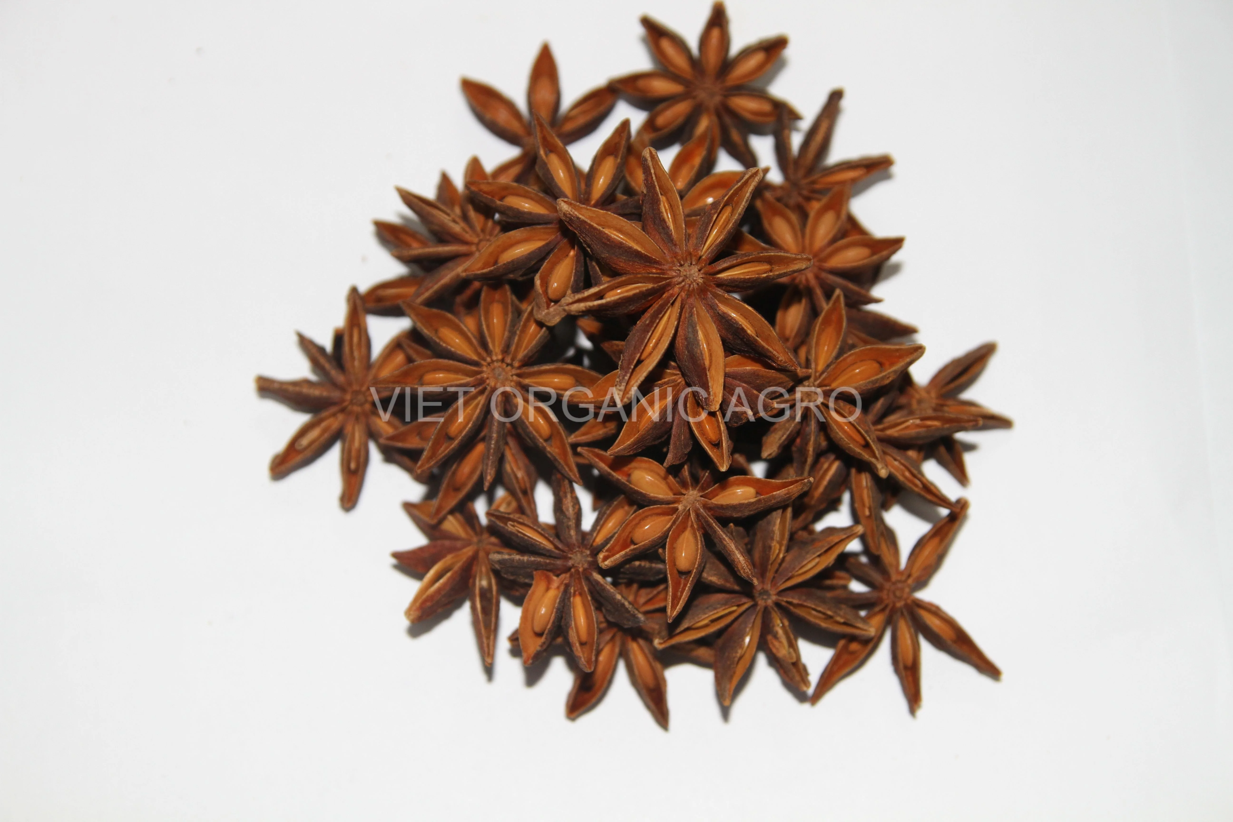 Premium Quality Dried Star Anise - Certified 100% Organic - Spices & Herbs Products Standard Star Anise