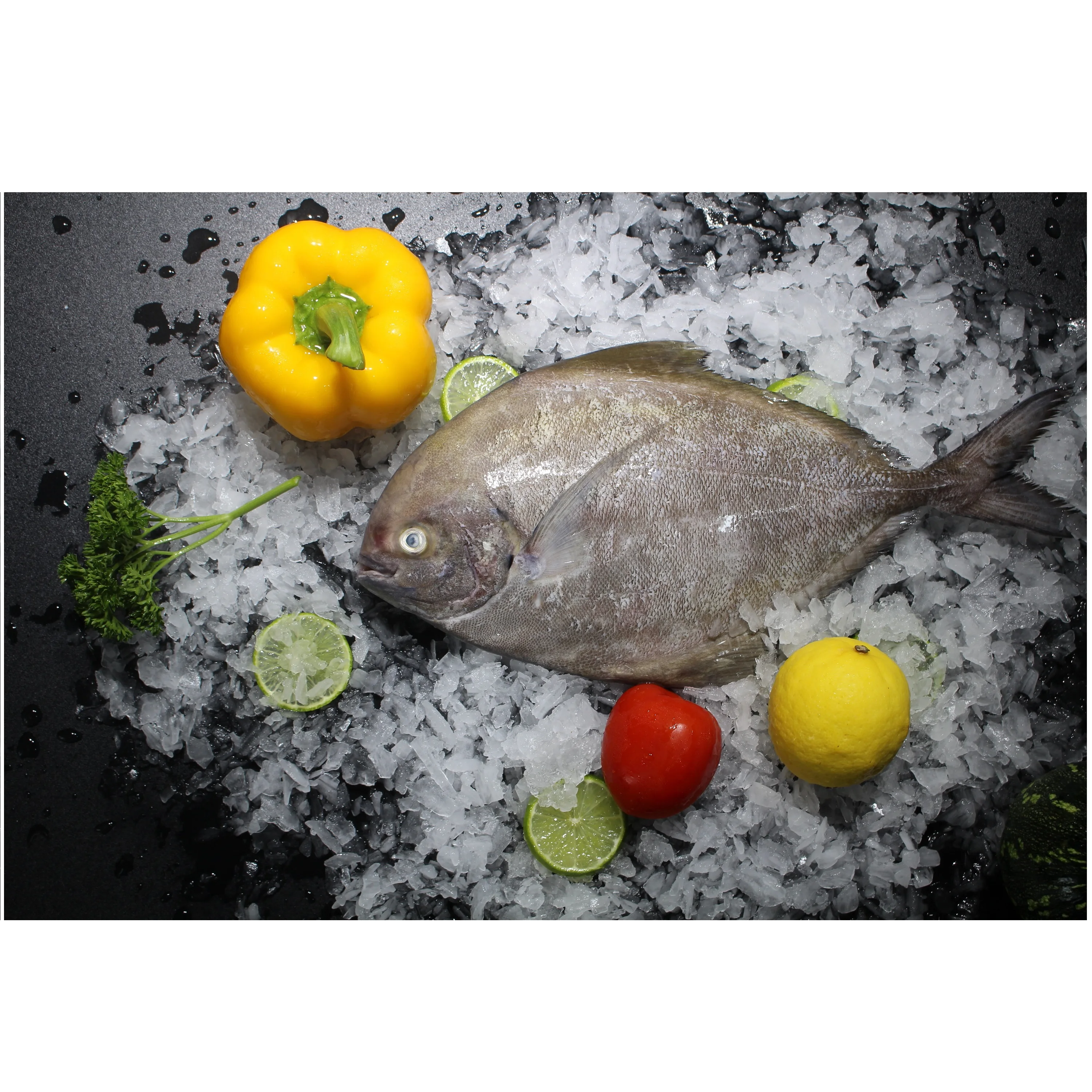 
 Fresh Whole And Fillet Piece Frozen Shelf Life 12 Months From Vietnam Black Pomfret  