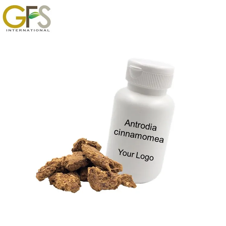 daily Turmeric health food products manufacturers