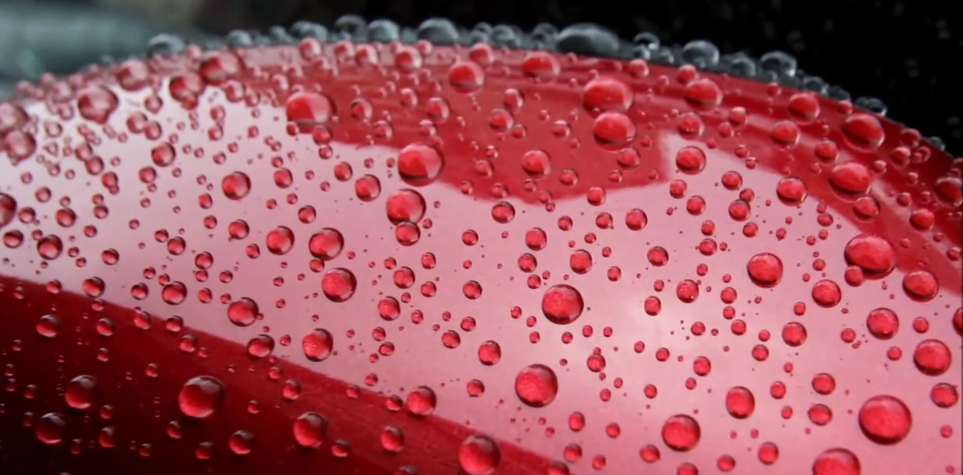 Carnauba Car Wax OEM (68%)