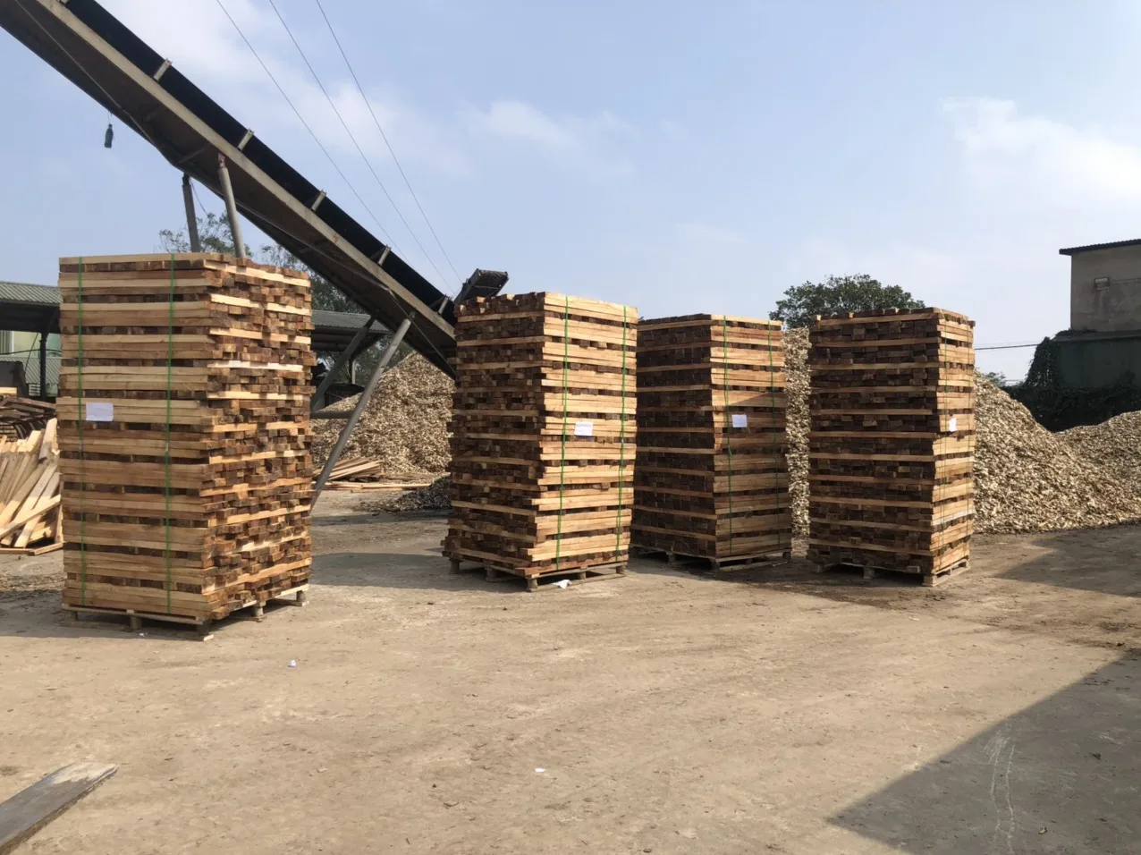 100% натуральное каучуковое дерево изготовленное в каучуковом дереве высокое качество и хорошая цена MS ANNA + 84902804571