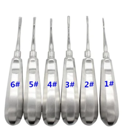 
6Pcs Dental elevator Stainless Steel Tooth Elevator Dentist Tools Stright Curved Root Elevator Dental Lab Instrument 