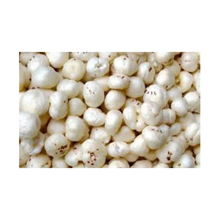 Высококачественные сушеные лисьи орехи оптом/семена перфорированного лотоса