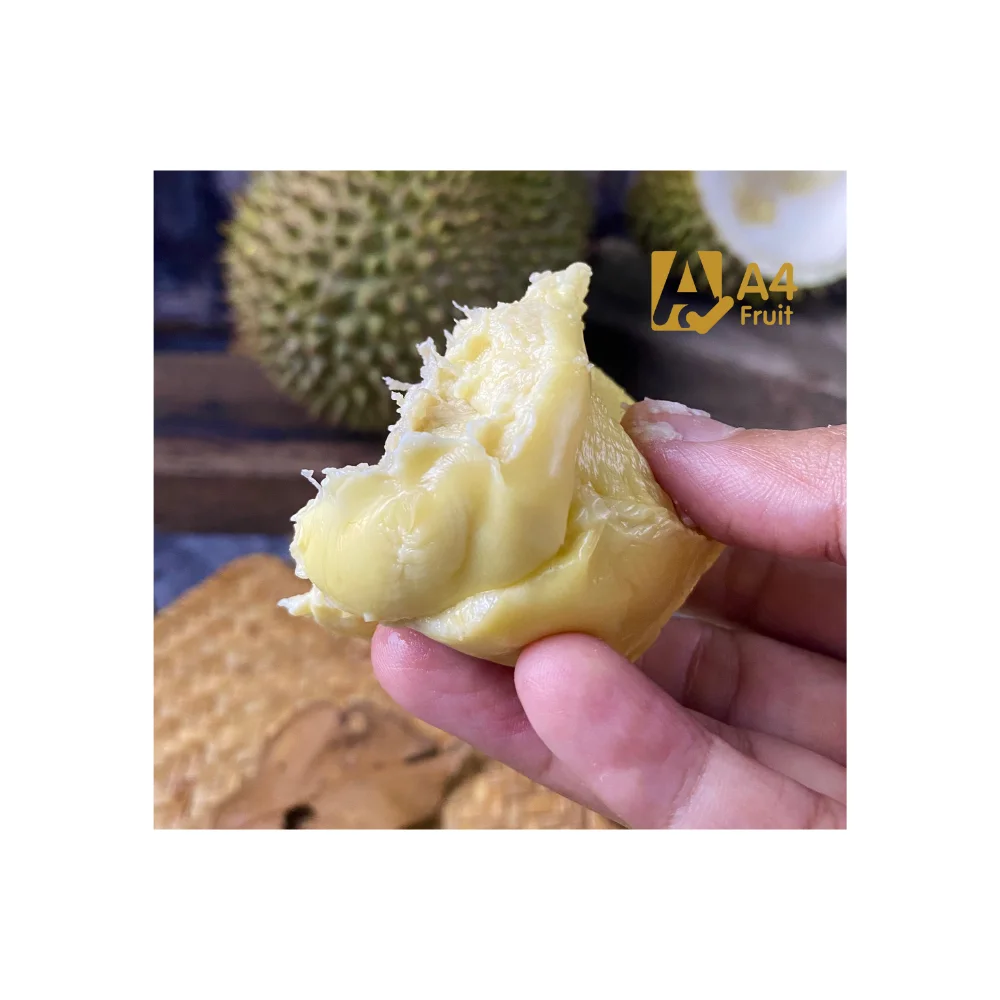 Fresh cut durian for china original from thailand the best durian in this world