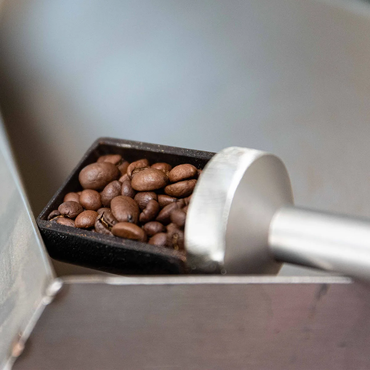 
BEST ITALIAN QUALITY Medium roasted whole bean coffee 1000gr./2.2lb - ESPRESSO INTENSO 