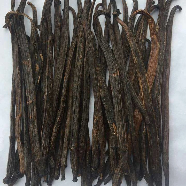 Vanila Beans / Vanila Seeds / Vanila Powder
