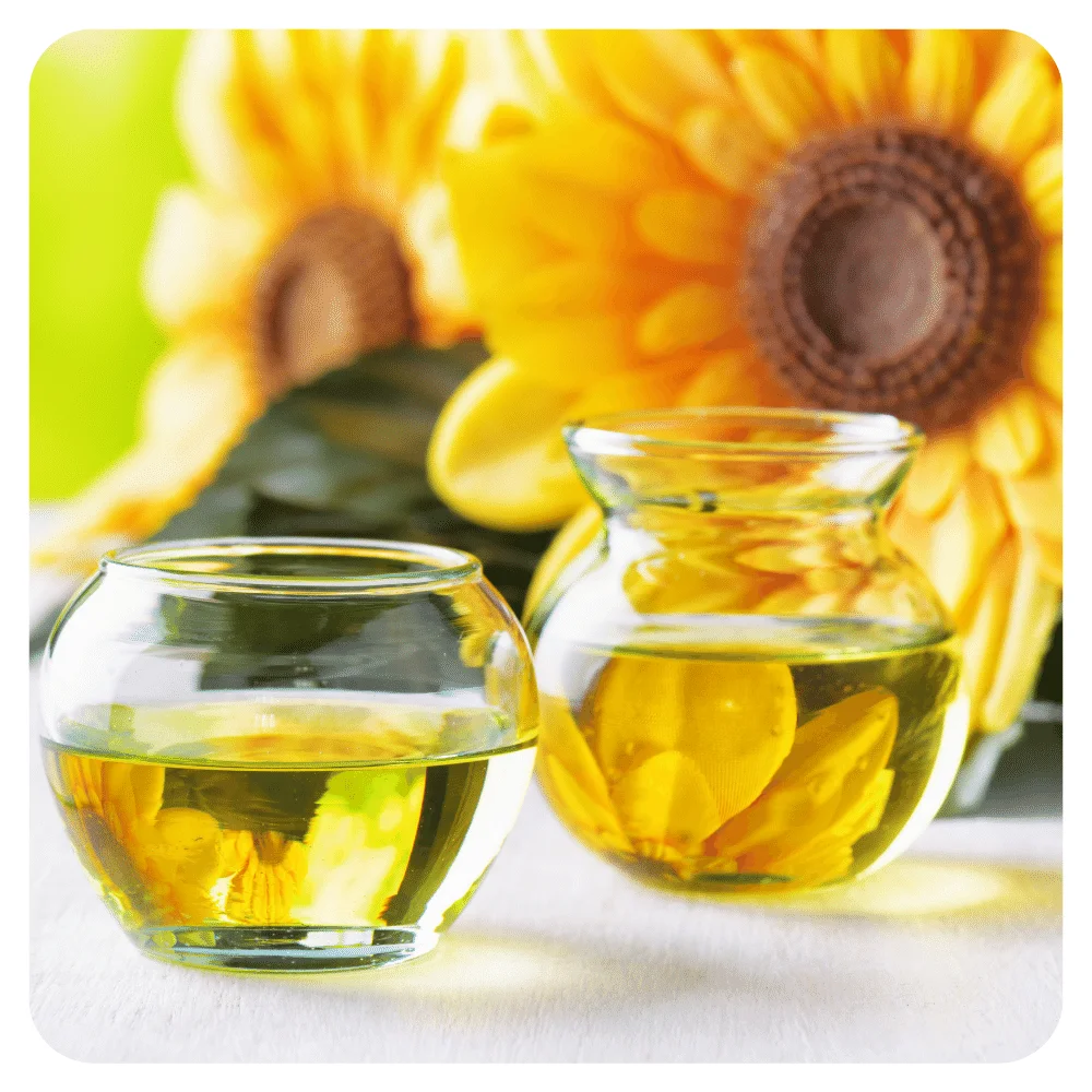 
Wholesale Prices Refined sunflower oil uses for cooking oil Gift Bottle Glass Bulk Packing 