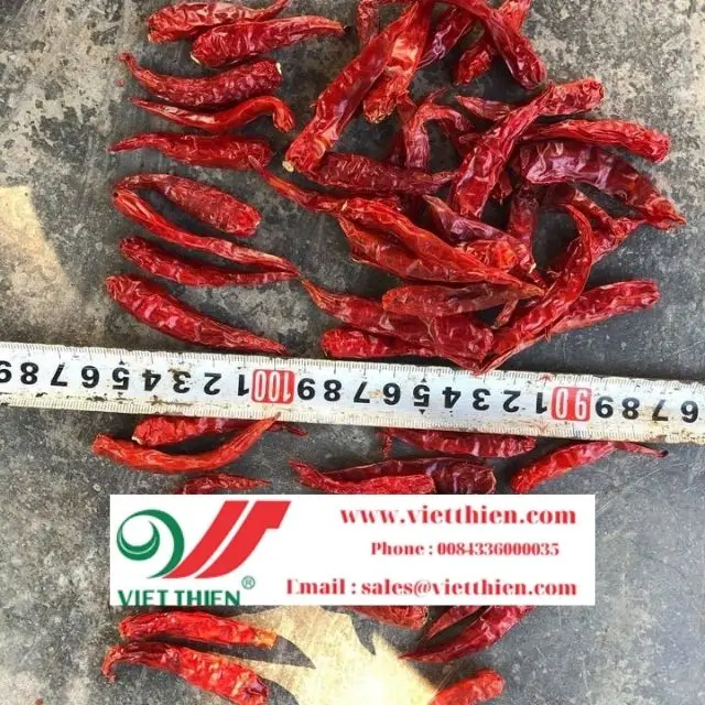 chili dried (1).jpg