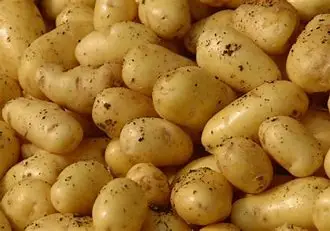 100% Organic Fresh Sweet Potatoes Vegetable Fresh Frozen Potato For Export