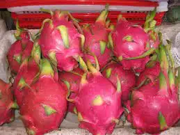 Свежий фрукт дракона-2021