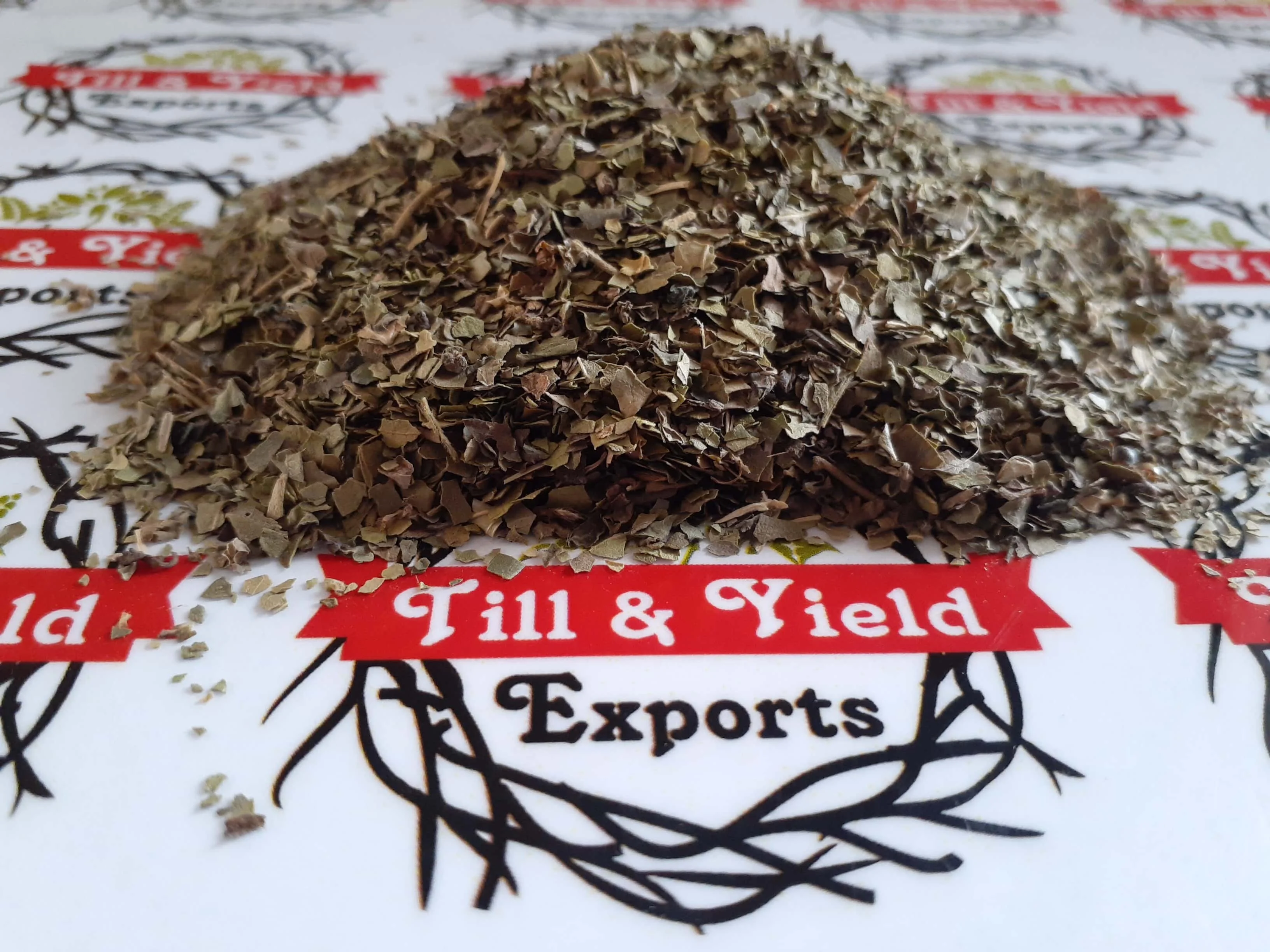 High Pure Dried Herbal Gymnema Sylvestre Tea indian origin best quality leaves Tea Bag cut size 0.5-4mm