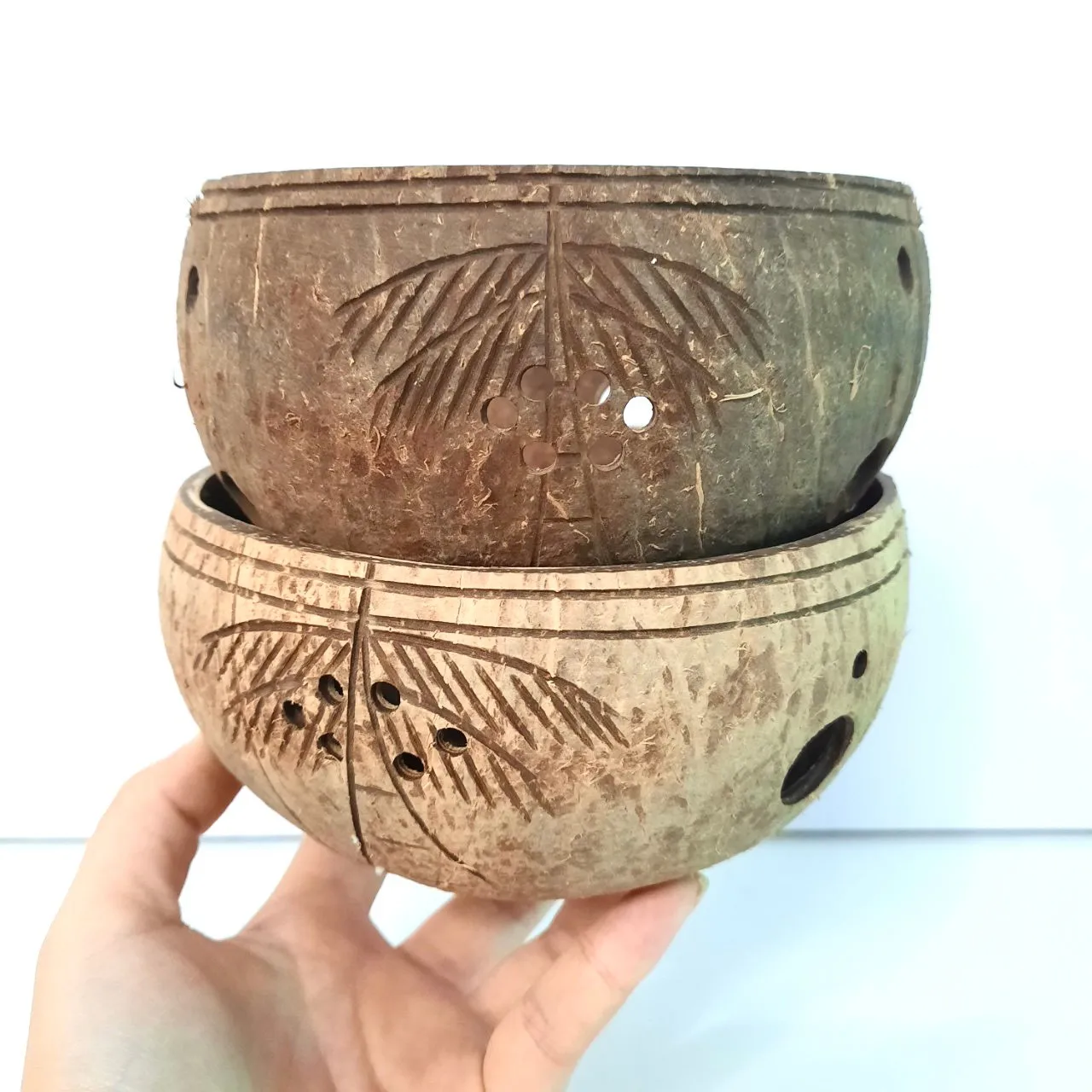 Creative Coconut Shell Hanging Basket Coconut Flower Pot Balcony Decoration