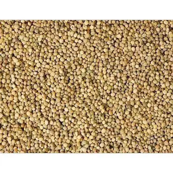 Top Quality Dried Guar Seeds Beans