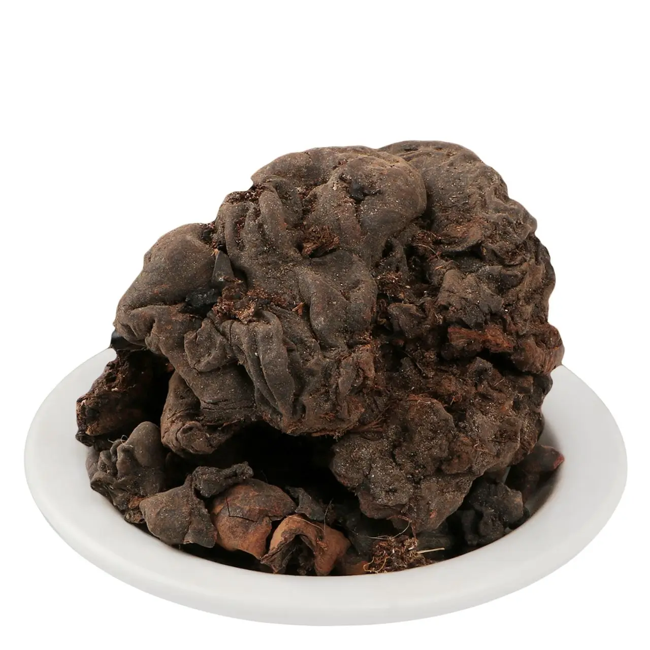 Mochras Gum  Salmaliamalabarica It Is Used To Treat Wounds Acne Skin Blemish Pigmentation Cold And Cough