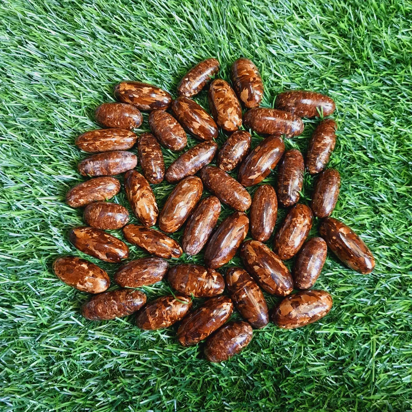 Wholesale Natural bronzite shivas loose gemstone for jewelry making