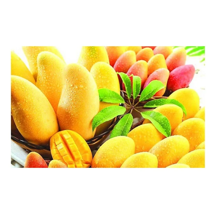 Большое количество свежего манго доступно здесь по лучшим