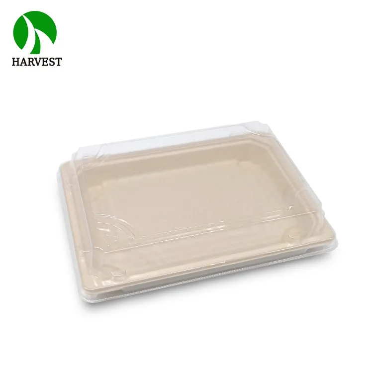 Rectangle Unbleached Sugarcane Bagasse Paper Sushi Food Takeaway Box