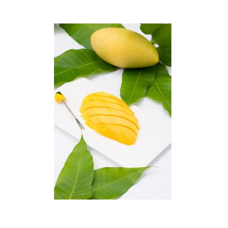 1 kg/PA Sliced Shape 10 kg/ctn 24 months Shell Life Sweet Taste Year Round Season Frozen Mango Export From Vietnam