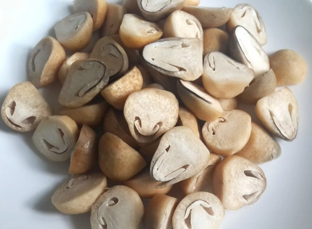 Cheapest Price Canned Brine Peeled Straw Mushrooms / WHATSAPP +84 845 639639