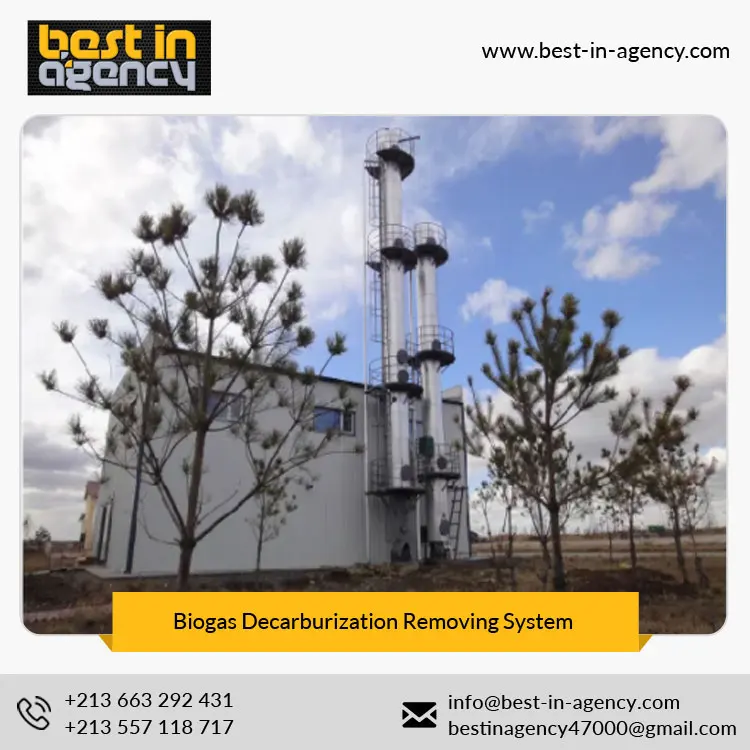 Natural Gas Water Removal Biogas Purify Decarburization/CO2 Removing System Manufacturer