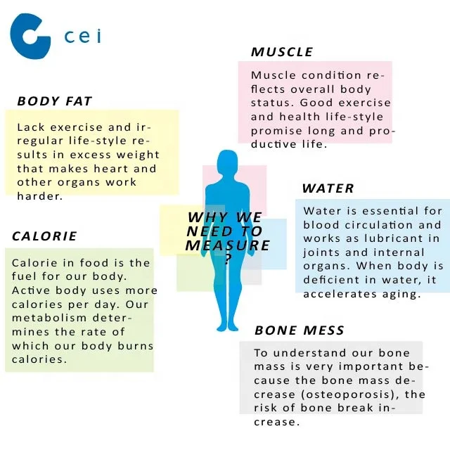 Portable Digital Body Health Analyzer Body Fat Measuring Device