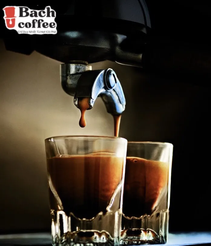 Кофейный порошок Moka-классическое среднее обжарение-00% Арабика зерна Подпись итальянская смесь-Премиум лакомство жареный кофе-Пакет 250 г