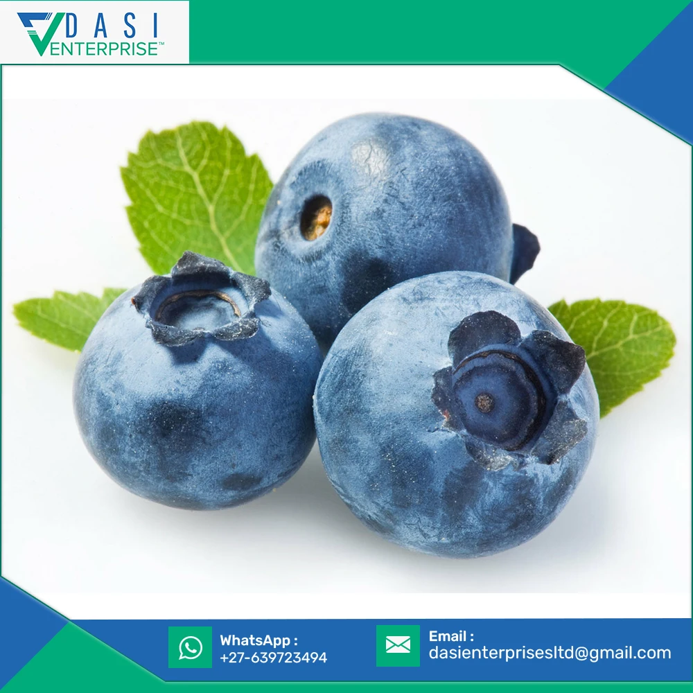  Original Manufactured Best Price Healthy Fresh Small Sized Blueberries Available At Low Market