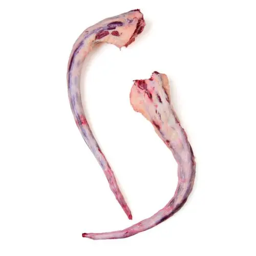 FRESH FROZEN BEEF TAIL PROCESSING FROZEN BEEF TAIL HIGH QUALITY A GRADE BEEF TAIL 20 KG BOX ORIGIN MONTENEGRO