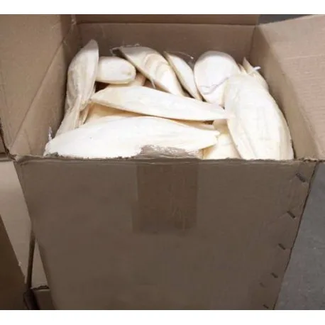 Вьетнамский поставщик сушеных костей для морской слепки оптом/мисс нари + 84 976 592 207