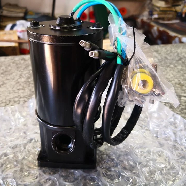 Mercury power trim motor