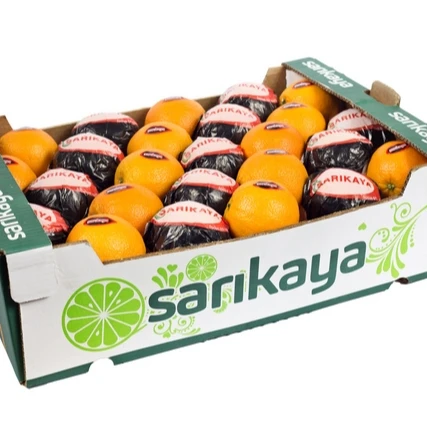 
Fresh Orange Spring Navel 