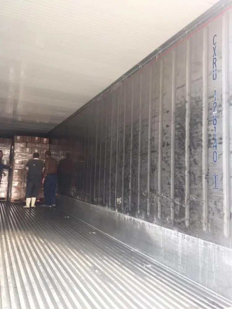 All type of frozen Egyptian Strawberry