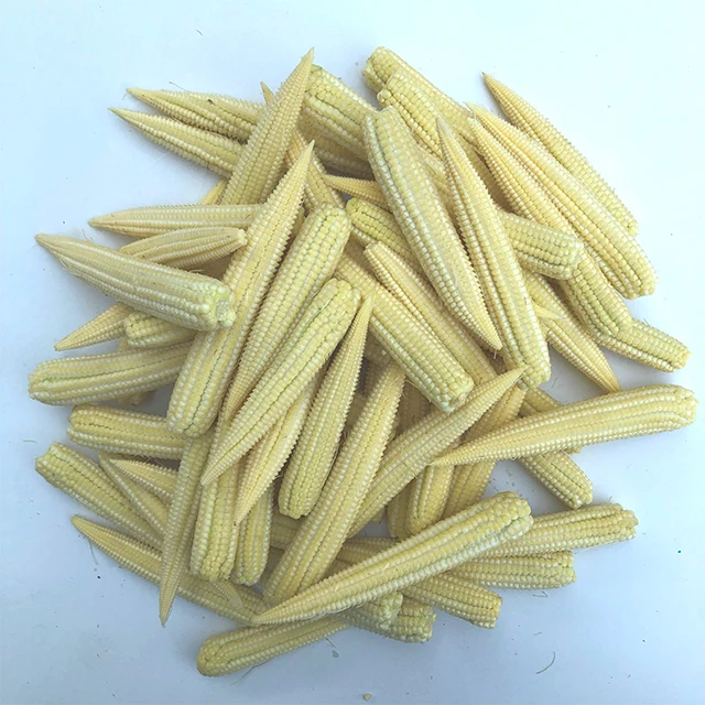 Fresh Baby Corn Produces Premium Quality Top Grade Fresh Vegetables Thailand Agriculture for Export Customized Size Weight