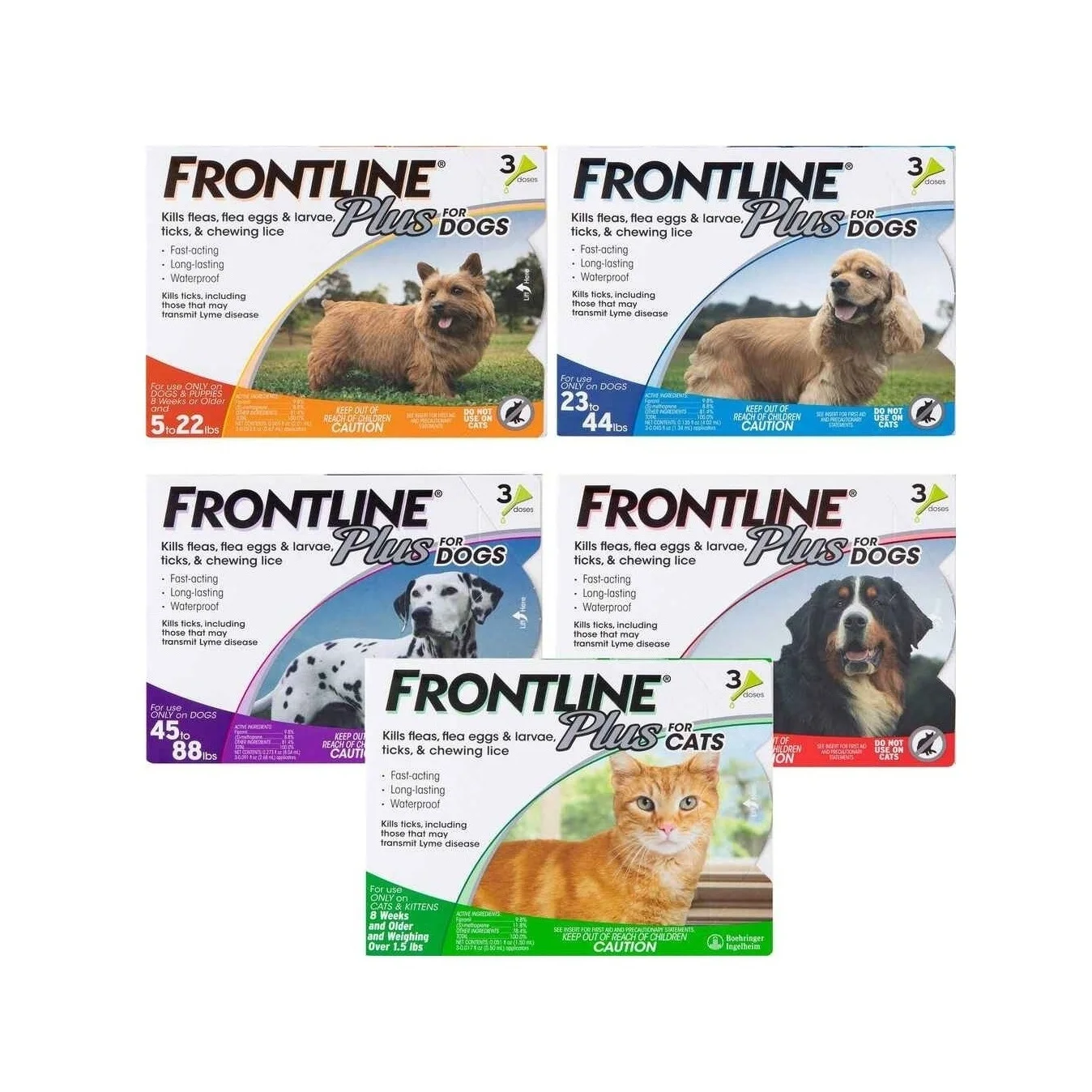Лидер продаж, линия Фронтлайн плюс, средство для блох и клещей для маленьких собак и щенков (до 22 фунтов), в массовом количестве