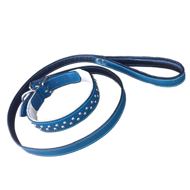 Personalized Pet Leashes with Custom Logo Dog Collar and Rope Leash Wholesale Manufacturer