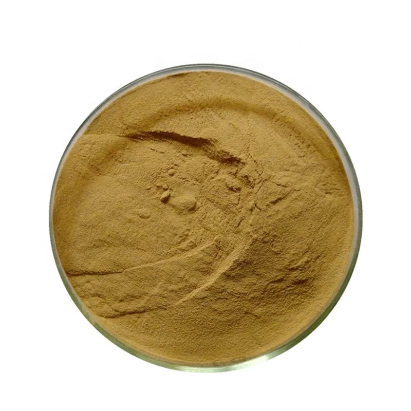 100%natural Harpagophytum Procumbens Extract Devils Claw Extract Powder 10:1