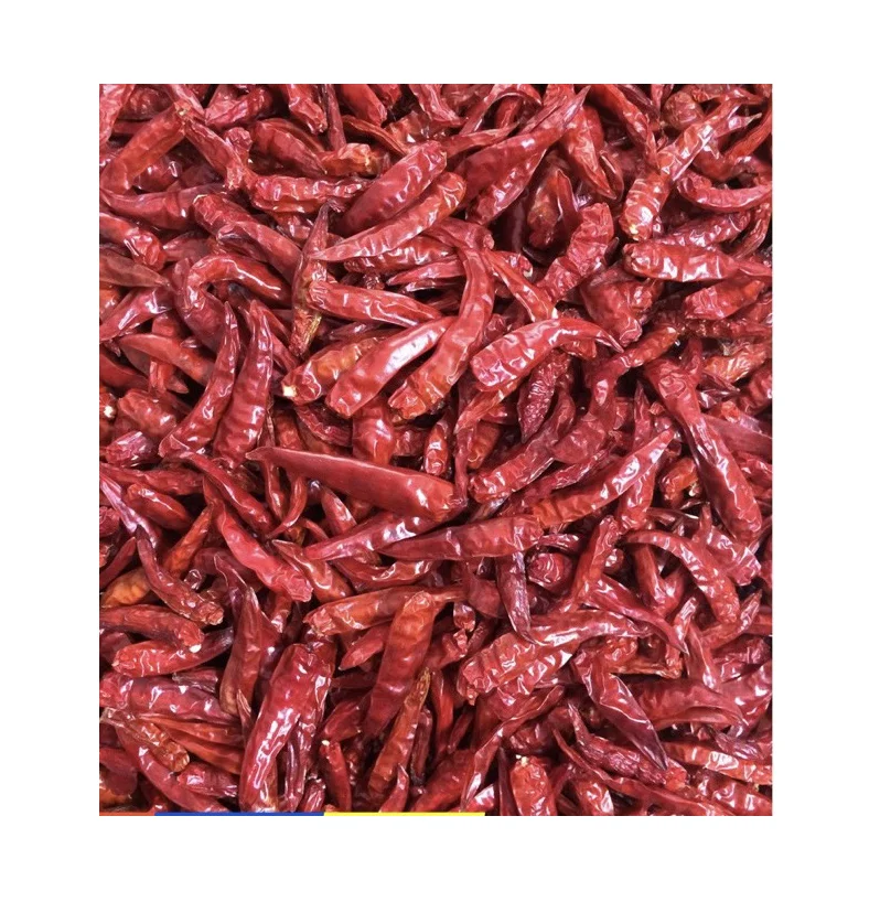 
Vietnam Agri Dry Chili Red Dry Organic Pepper Chili Dried Wholesale 