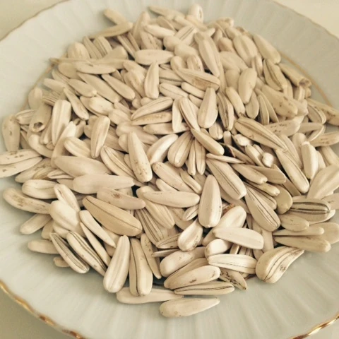 sunflower seeds for Europe