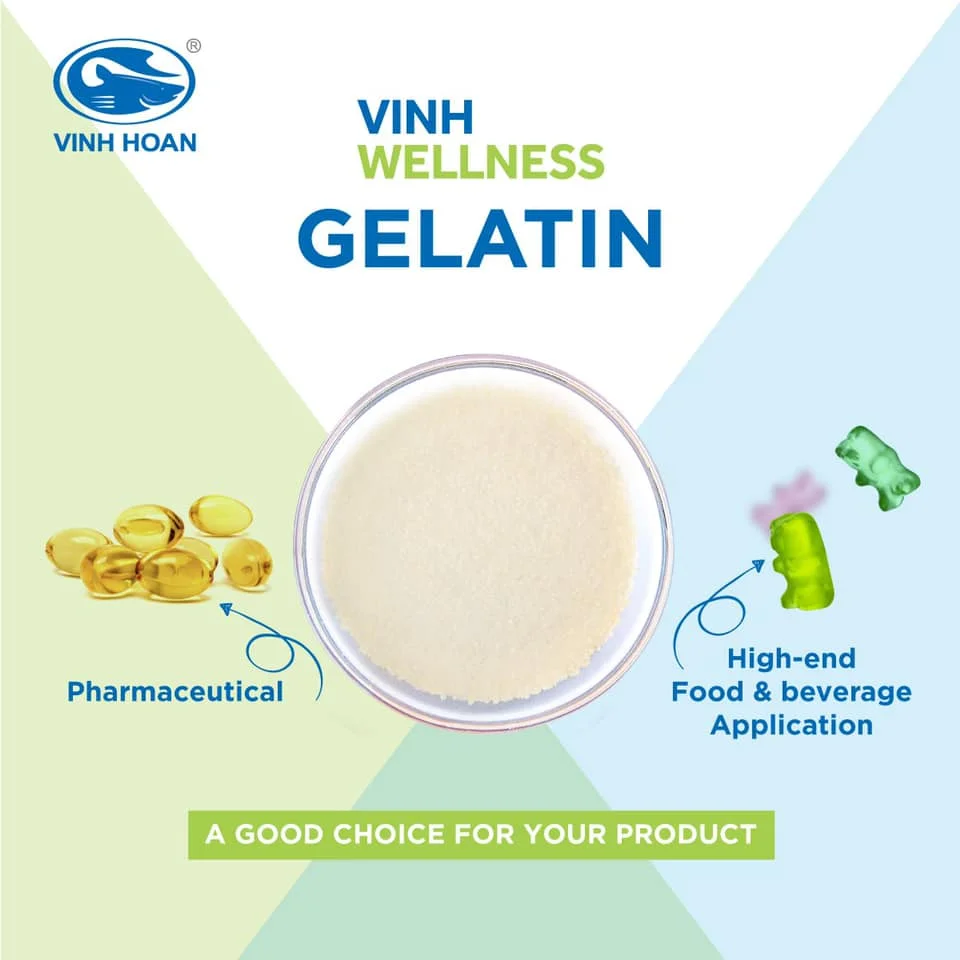 Production line gelatine halal food grade, high quality gelatin powder competitive price