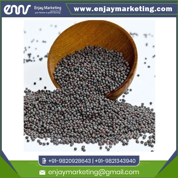 Popular Mustard Black with Custom Packing or Logo Print Buy at Wholesale Price