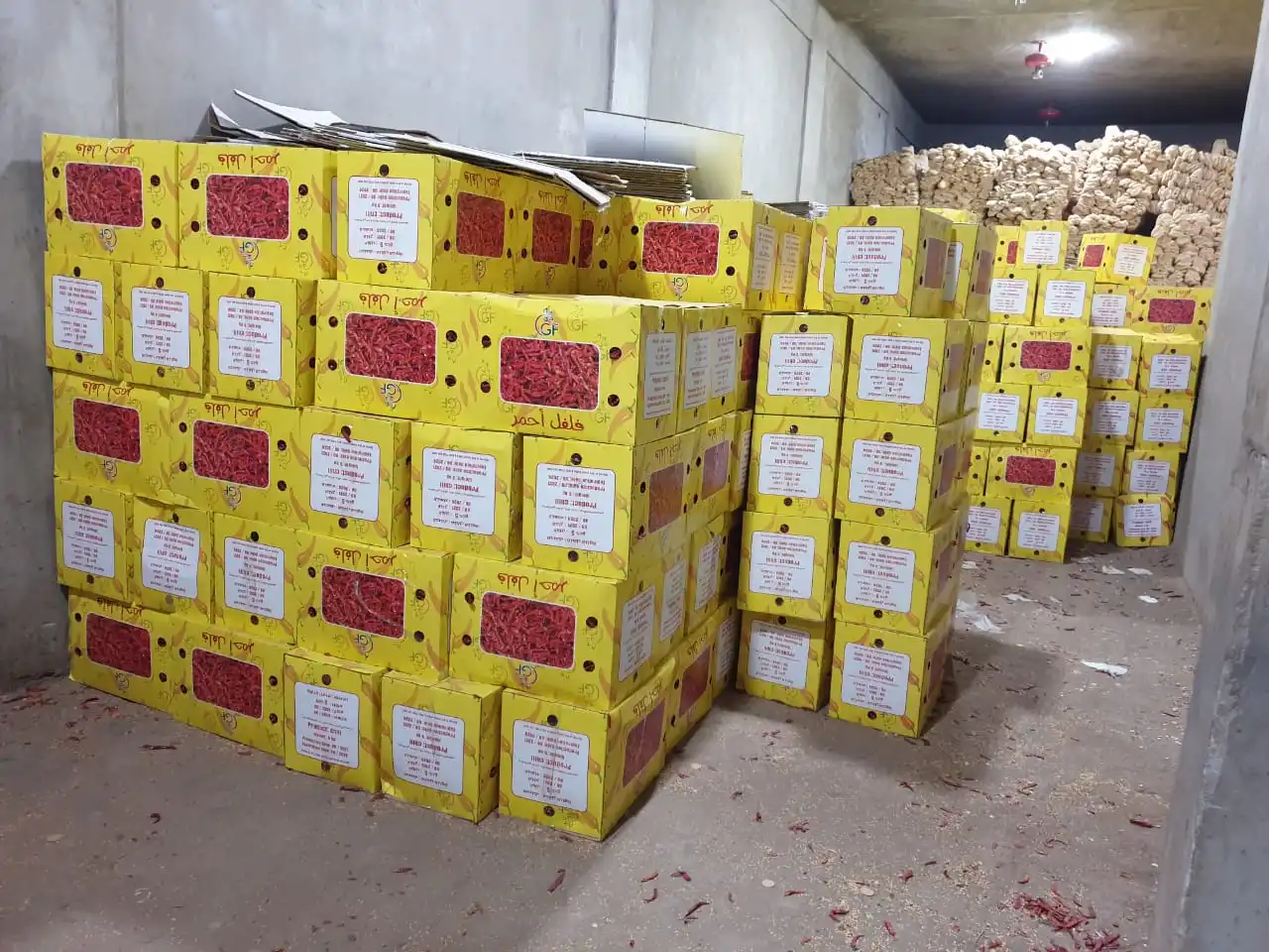 Egyptian chili pepper high quality first degree very hot chili pepper dried