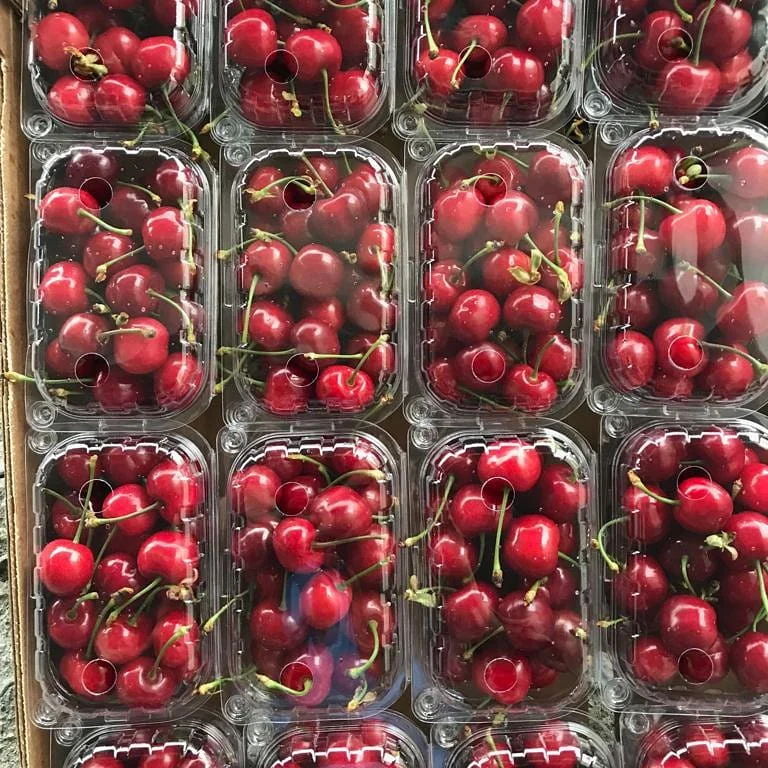 Высококачественная вкусная красная ферма, Свежие Вишни оптом, дешевая цена