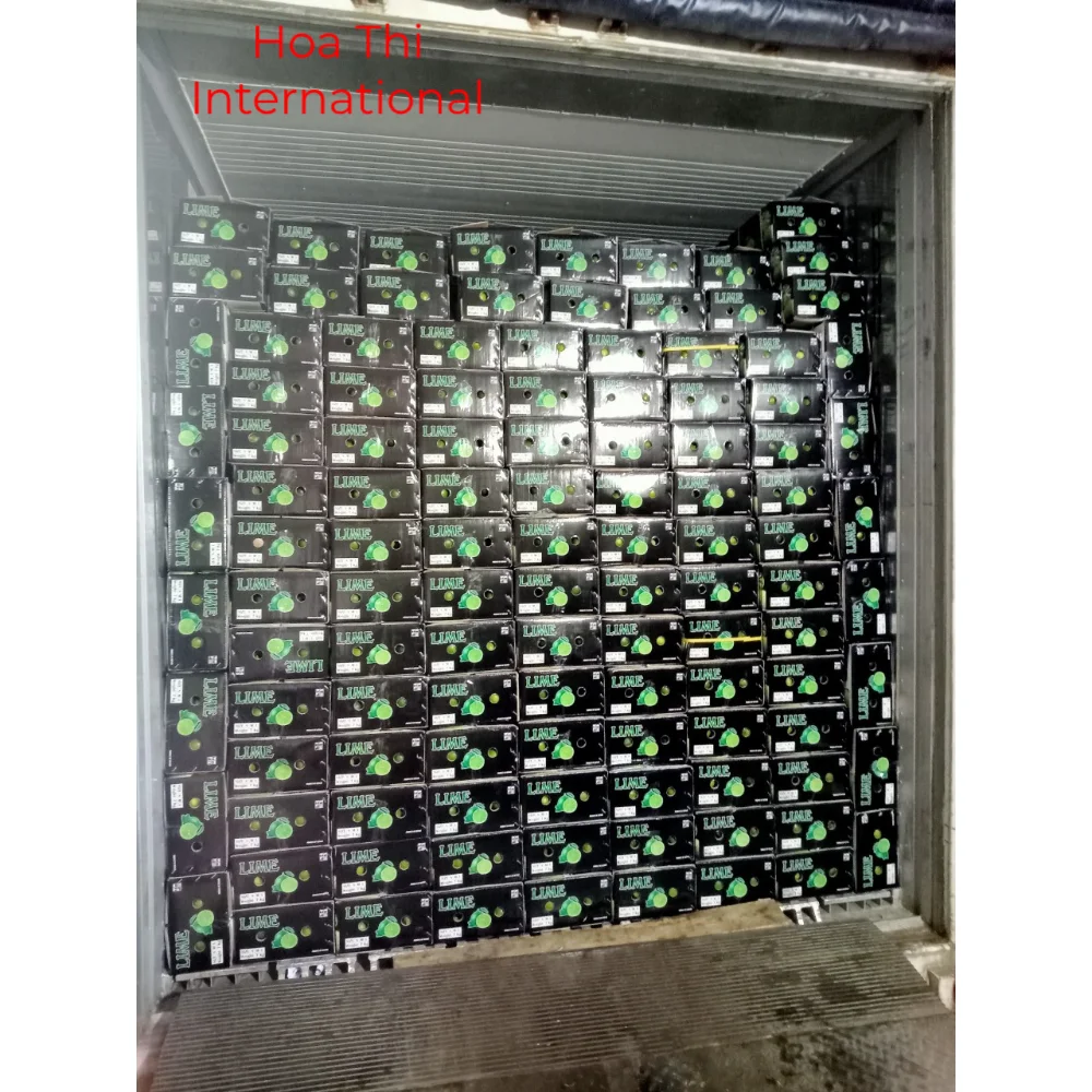10kg Fresh 100% Maturity Green skin Good Quality 5 cm Size 12 Months Shell Life Natural Taste Lime Seedless
