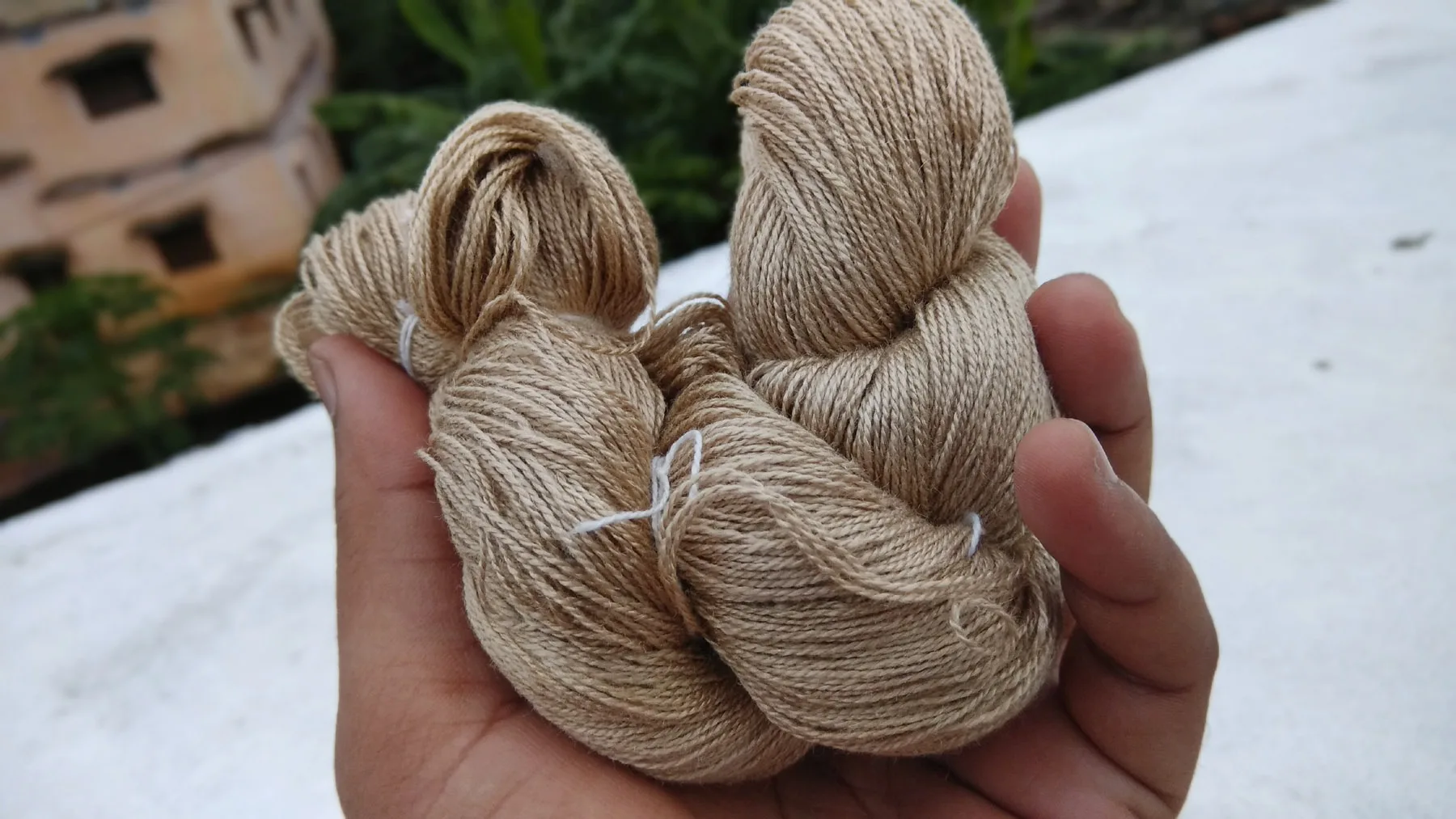 Muga Silk Yarns in Various Counts