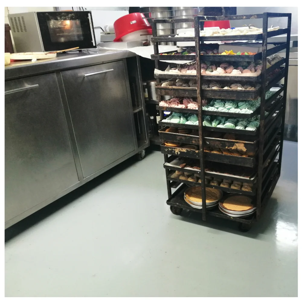 Полиаспартическая краска для пола-быстрое отверждение, время прогулки до 4 часов, Полная работа за 12 часов