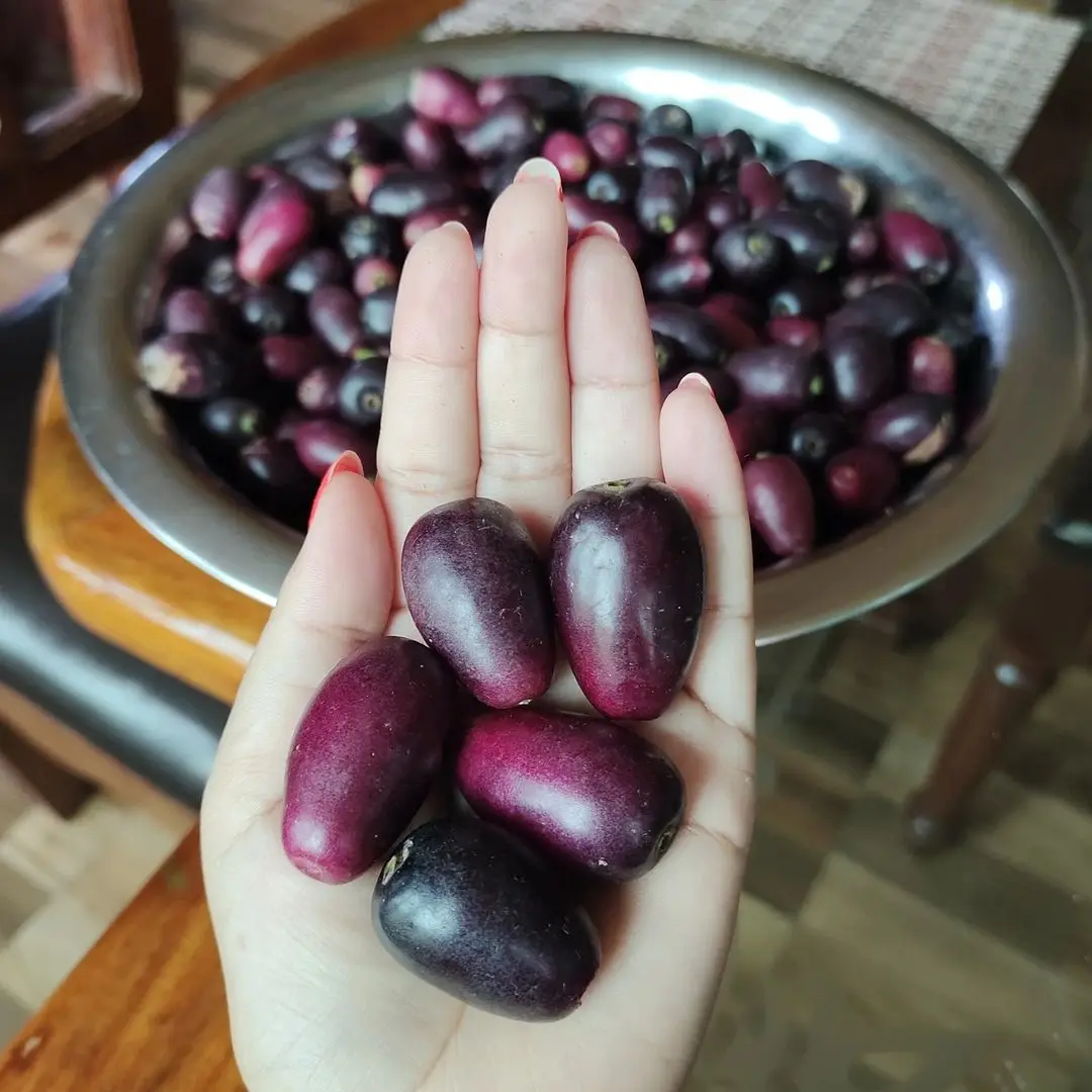 Лидер продаж, свежий медовый слив