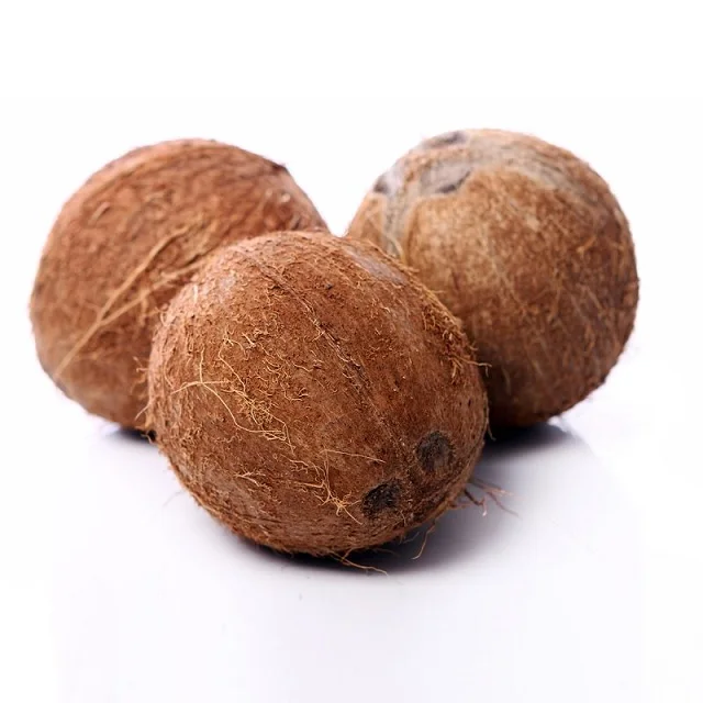 Delicious Nutritious & Organic semi husked coconut buyers and suppliers manufacturers traders from india