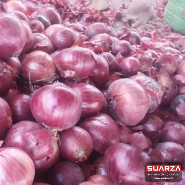 Seasonal   Red shallot Onion for Dubai market/ best quality cheap price onion /   Red Onion Exporter